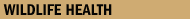 wildlife Health