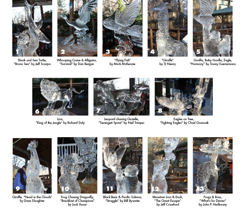 ice carving voting update