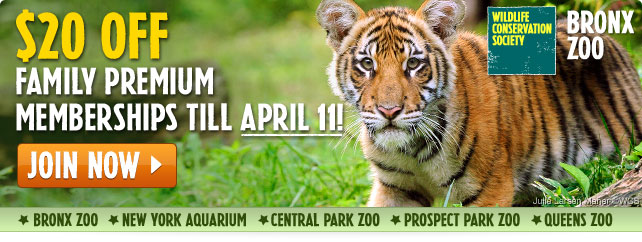 Wildlife Conservation Society: Email - Save $20 on Bronx Zoo Membership!